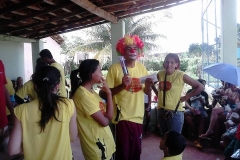 Expedição de Carnaval de 2014