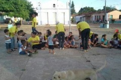 Expedição de Carnaval de 2014