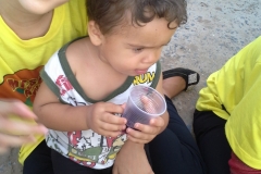 Expedição de Carnaval de 2014